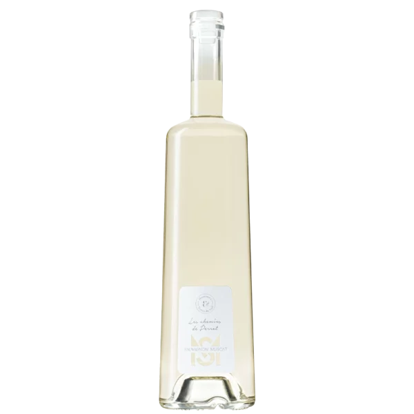 Sauvignon Muscat